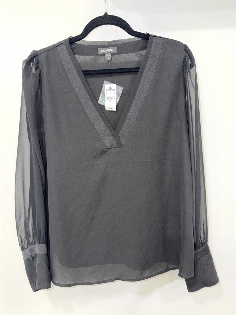 Express Black Sheer V-Neck Long Sleeve Blouse